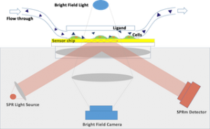 Fig 1 SPRM block diagram